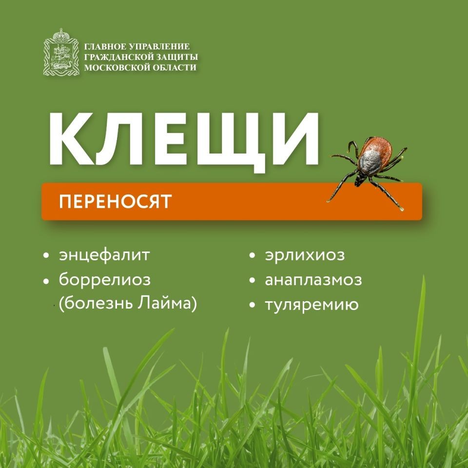 20260508-101818PkO-S37rpxFHGH1IMofn-4Yc8Iok9EsTfQG2UjMtofBvqK63eDL8sbQI-lpRtzbjtjfX-FgAha3gkPJujK3BevJj