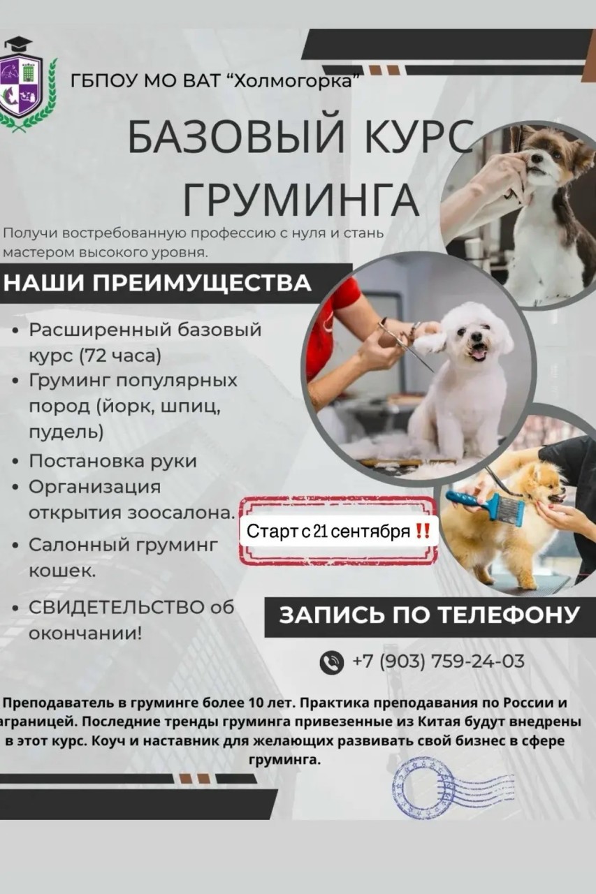 VnKsM0-LtehnLsb9rYkzsxMwwfbUEjkOqED5wE6M_67n_u-MBcYfdlKMsVr0jLw-lC43hm7zuDXqYIaC6cOTgtUc