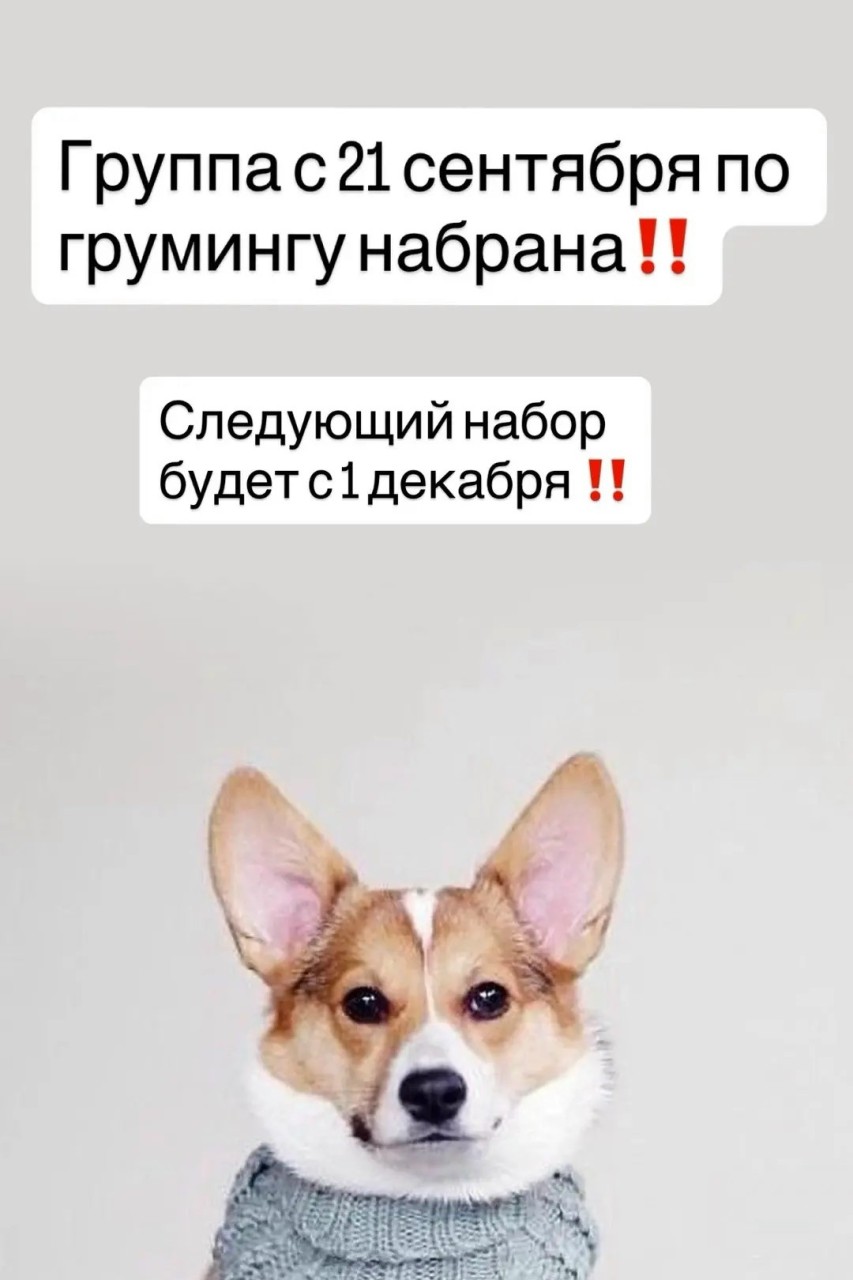 rr6v2N_hkcRNy9Br269d4fhfam0W6csjCtSBUcsOAIAihpdLXSpDUuUJ5Vi1mkJVdsV10WwyYmDy5evfUzHVcDCj