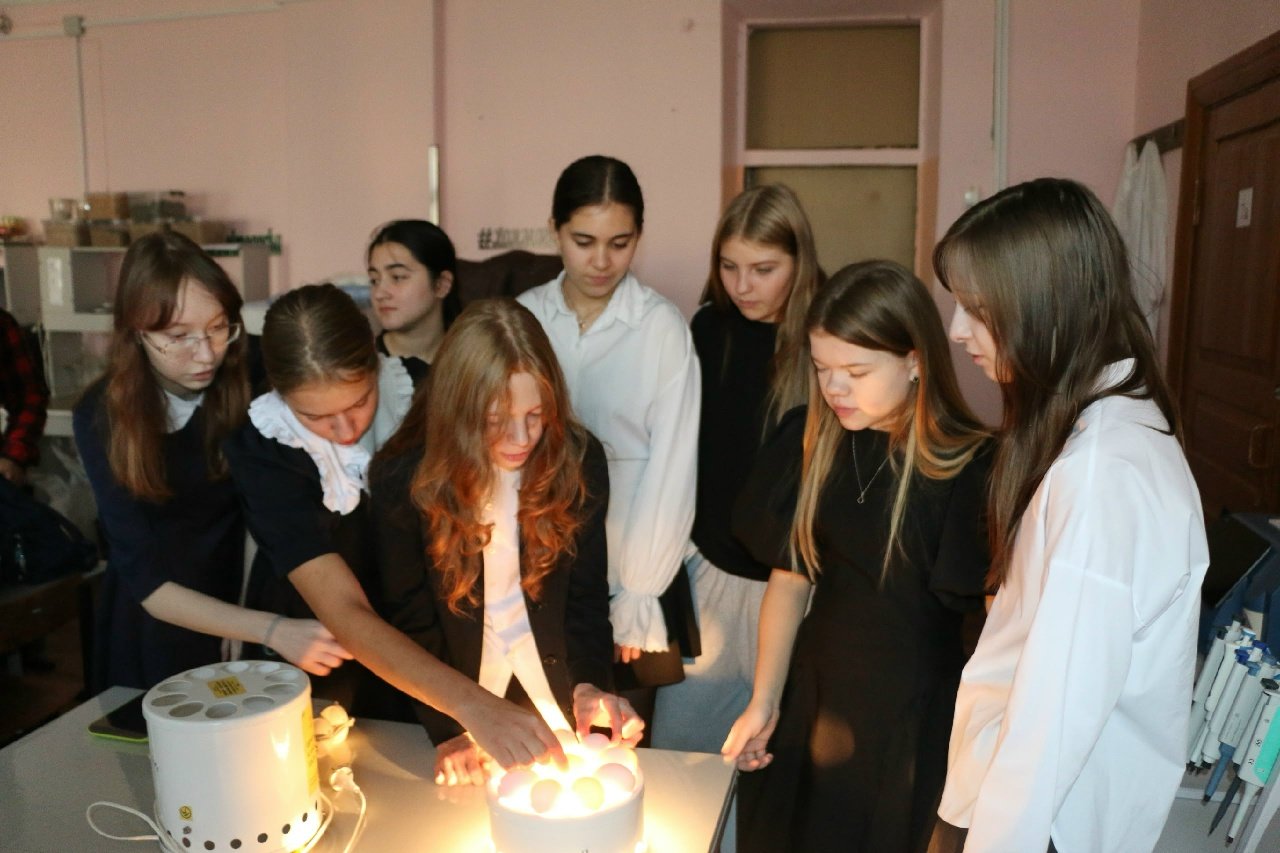 От пробы до призвания: школьники примерили на себя роли ветеринара, отельера и технолога в проекте «Билет в будущее»